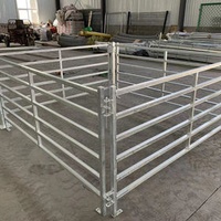 Horse Pen gate Corral railing Steel tube guardrail Livestock fencing with gate factory
