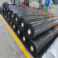 1mm Thickness HDPE Geomembrane Price Pool for Fish Pond Water Tank