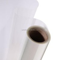 Bopp Film Polymer Printing Paper Roll for Printing