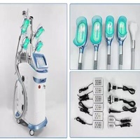 Antifreeze Membrane Fat Freezing Cryolipolysis Vacuum Machine 40k