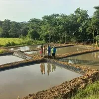 Fish Pond Liner Waterproof Membrane 0.5mm 1.0mm 1.5mm