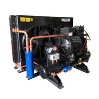 Semi-Hermetic Cold Room Blast Chillers 10 Ton 30 HP Cold Storage Chillers Compressor Condenser Unit