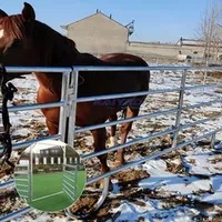 Factory Direct Standard Guardrail for Livestock Site Hot-DIP Galvanizing Cattle Panels