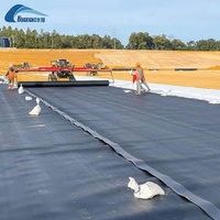 Manufacturer Direct Geomembrane from China 0.2mm-3.0mm Geomembrane for Pond Liners