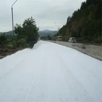 Waterproof Construction Material Geocomposite Membrane with Geotextile