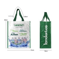 Eco-friendly promotional cheap customized color printed bopp laminated pp woven bag