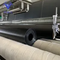 High Quality Gri GM13 HDPE Waterproofing Membrane Used for Tsf, Landfill, Dam, Reservoir