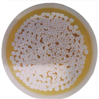 PES UFaI8060 Uitrafiltration Membrane Hollow Fiber UF Membrane for Water Purifier